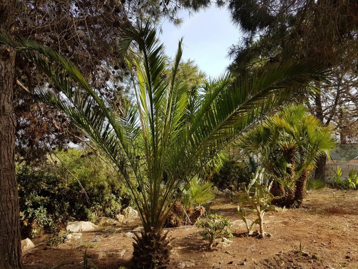 Villa Mina Carovigno Εξωτερικό φωτογραφία