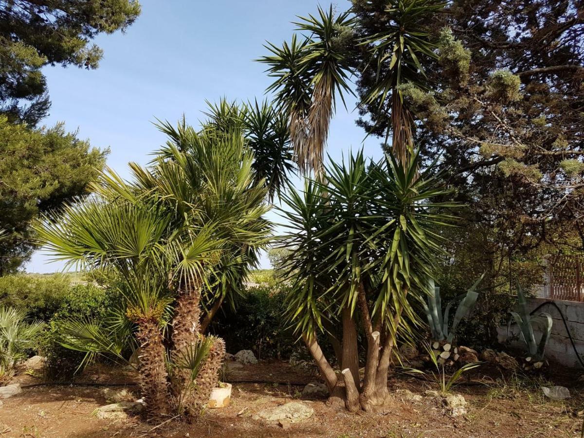 Villa Mina Carovigno Εξωτερικό φωτογραφία